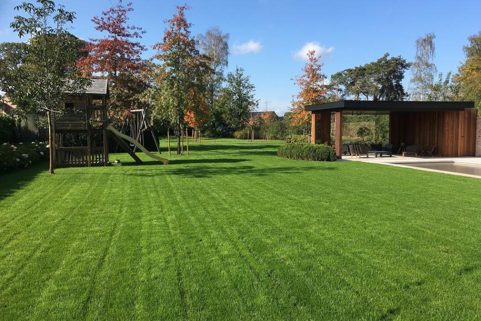 totaal aanleg van grondwerken tot aanleg verharding en zeker het toetje voor een perfect afgewerkte tuin de gazon.