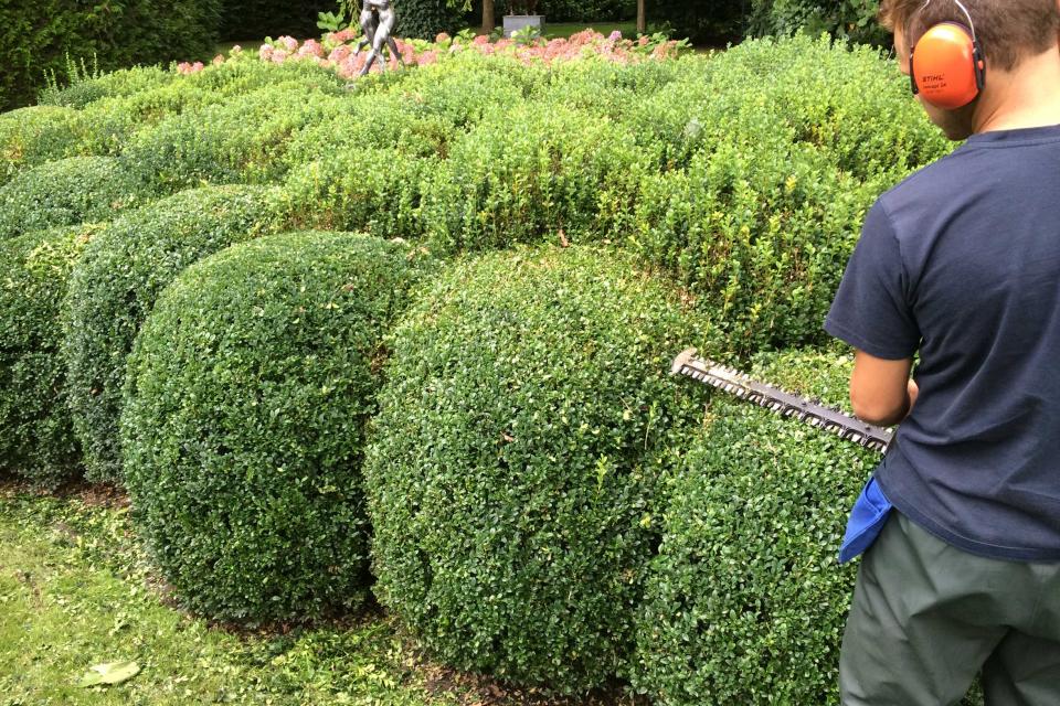 ONDERHOUD - Periodiek onderhoud, snoeiwerken, verluchting van de bodem, bemesting van beplanting en gazon, onkruid & ongediertebestrijding, verticuteren en maaien van gazon, aanvullen van schors, opfrissen van dolomiet, aanbrengen van een mulchlaag,? 