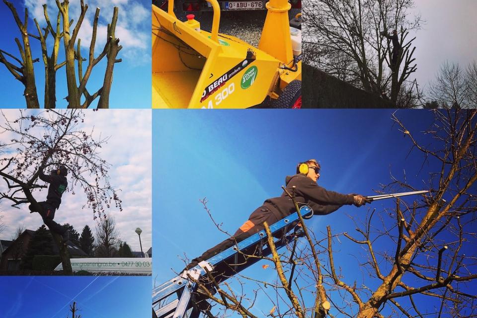 algemene snoeiwerken