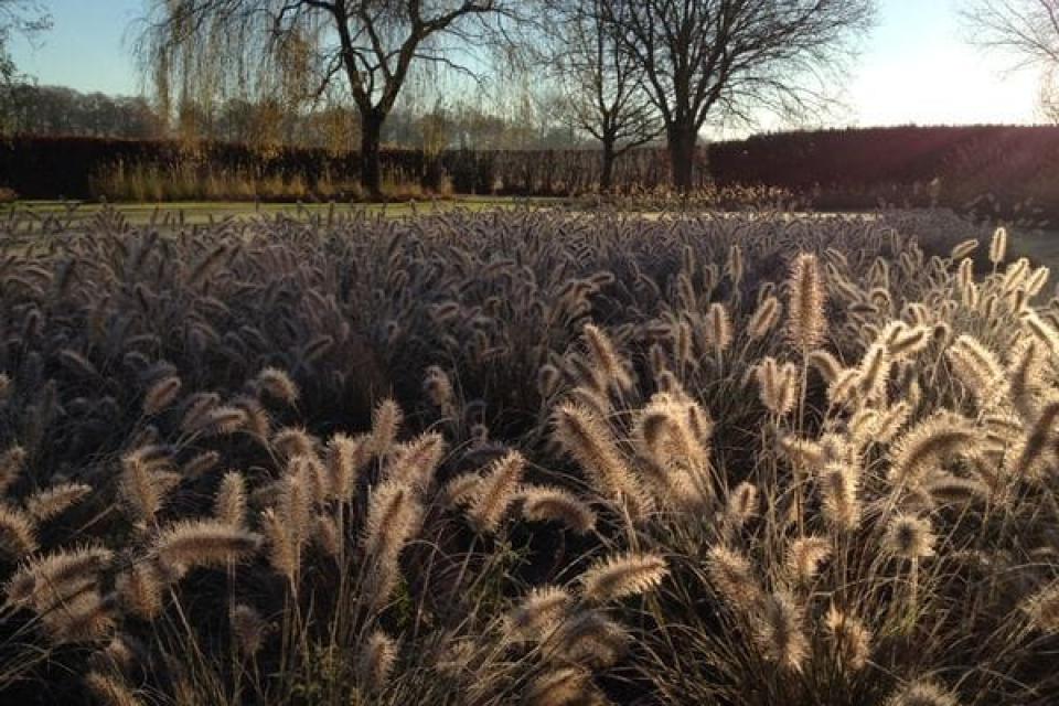 Onderhoudsvriendelijke, landelijke tuin met modern karakter