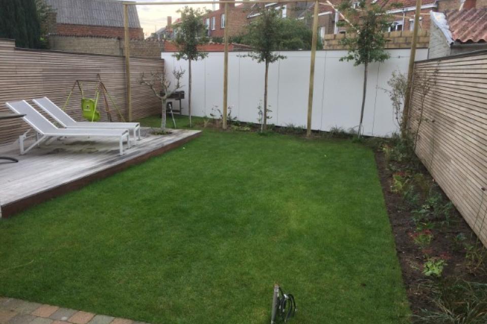 Aanleg tuin met grasmatten,steeneiken en beplanting