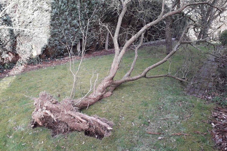 24/24 Hulp bij stormschade