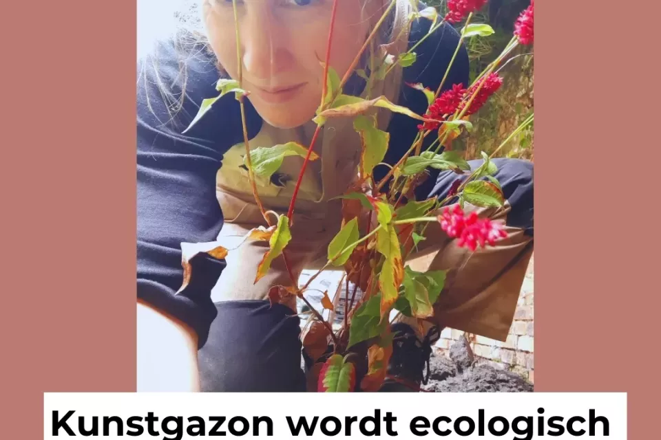 Kustgazon wordt waardevolle ecologische stadstuin