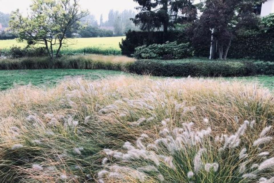 Ontwerp & Aanleg & Onderhoud van een landschapstuin