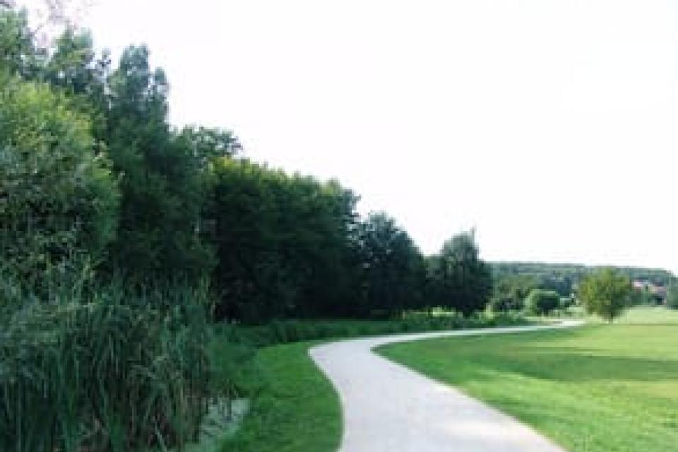 park_frankveld_01_elm_web.jpg