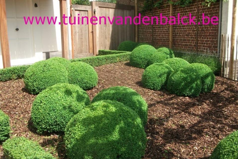 Beplantingen