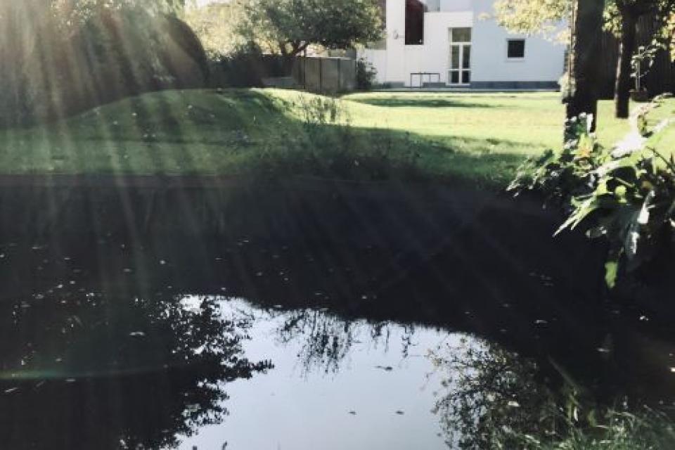 Ontwerp & Aanleg van tuin met poel