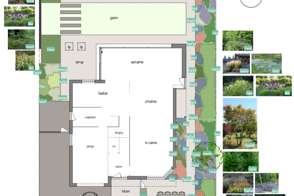 tuinontwerp beplantingsplan