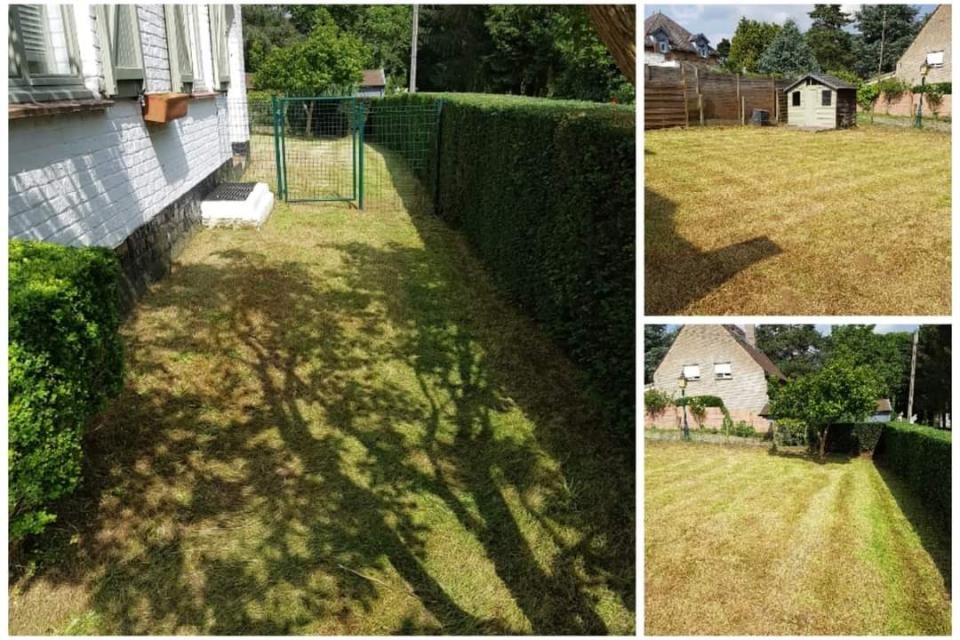 verwilderde tuin opfrissen