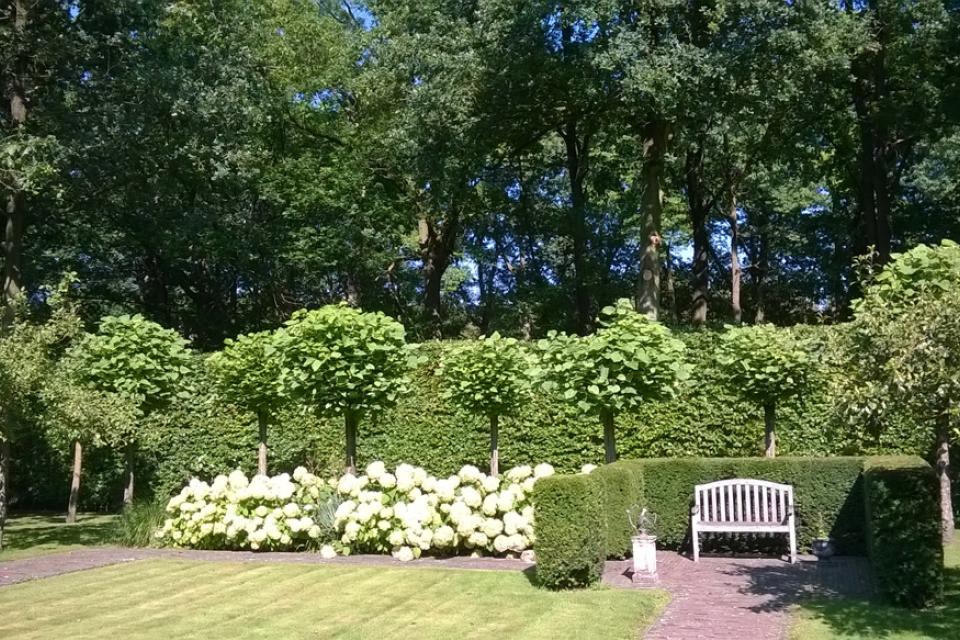Snoeien van hagen en algemeen tuinonderhoud
