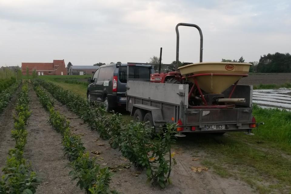 PuttePlant BOOMKWEKERIJ - Groothandel