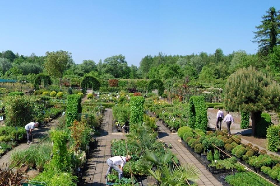 De Pauw NV Tuinplantencentrum