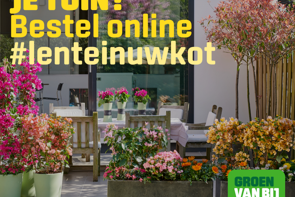 Bloemenwinkels blijven dicht, aan huis leveren kan wel