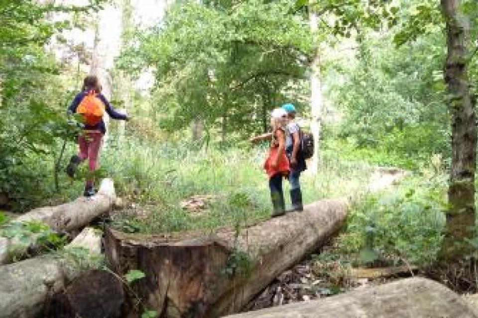 Weerdse Vijver © RLRL