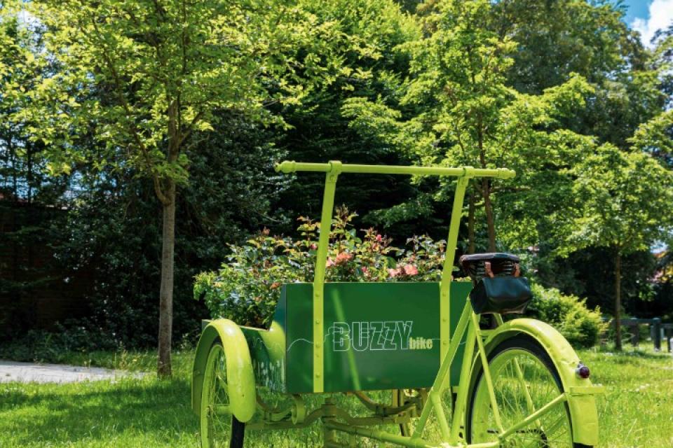 Dit was Buzzy City 2021   