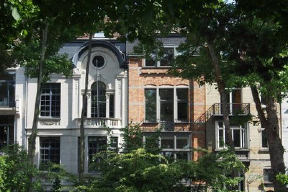 Studie toont verband tussen grote stadsbomen en gezondheid