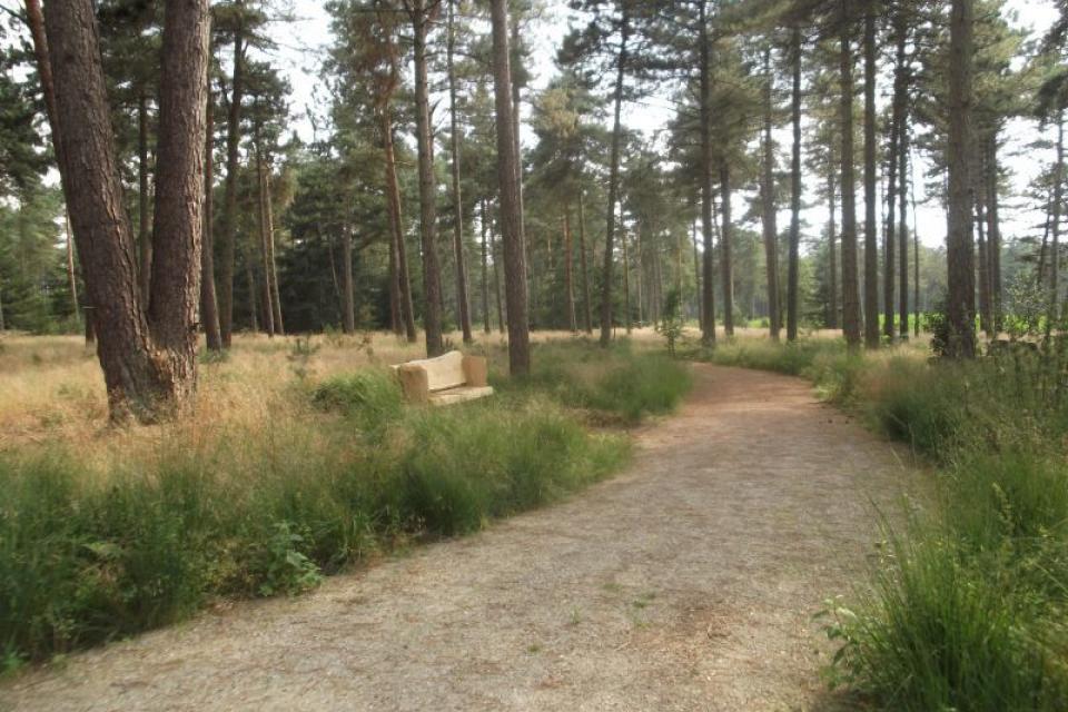 Webinar: Begraafplaatsen als toekomstige groene ruimte 