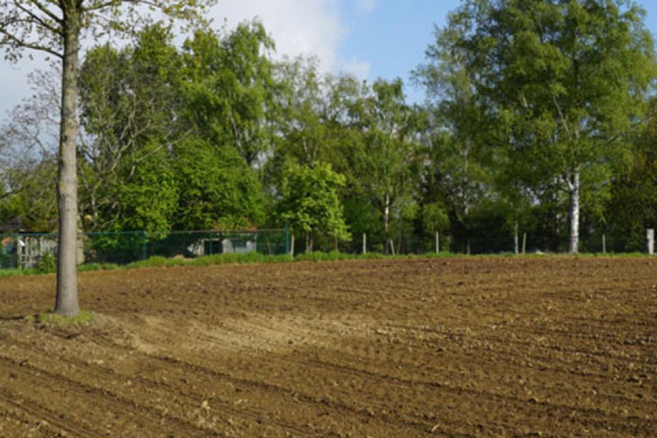 Elke boer zijn eigen bosje van 1 hectare