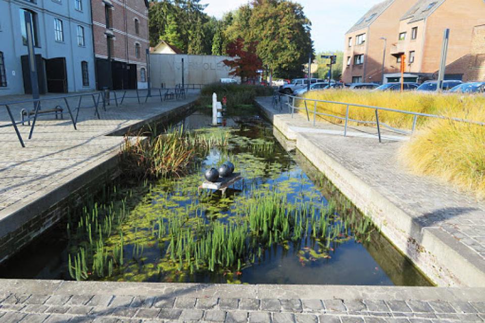 Oproep Openbaargroen Awards VVOG