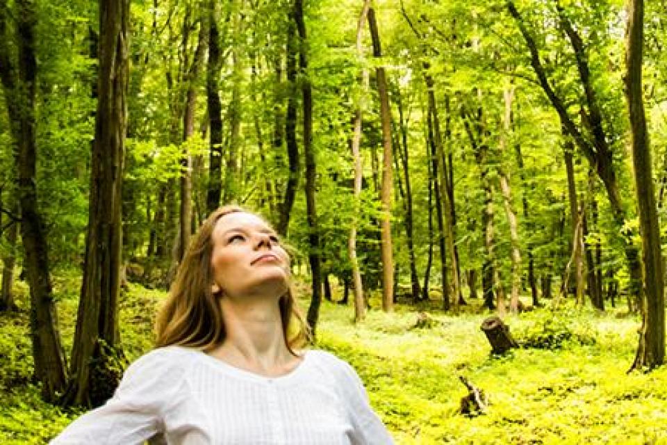 Vlaanderen krijgt eerste natuuroases om te bosbaden