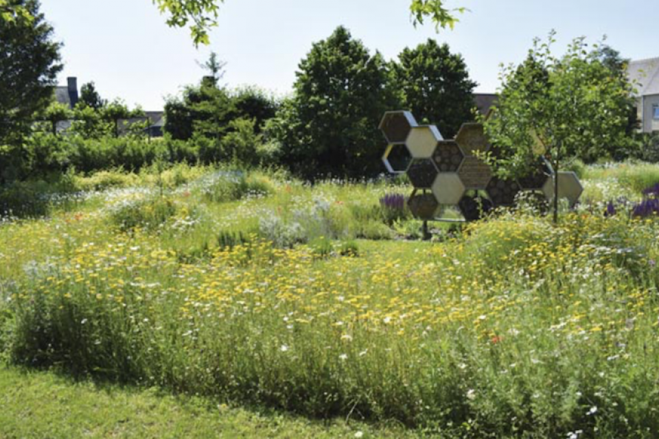 Diksmuide en Gent zijn bijenvriendelijkste gemeenten van Vlaanderen