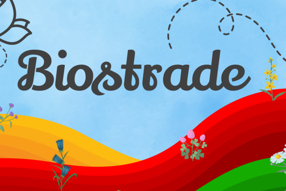 Vlaams Bijeninstituut lanceert ‘Biostrades’