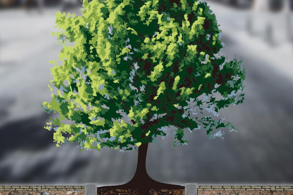 Brussel zoekt plaats om bomen te planten