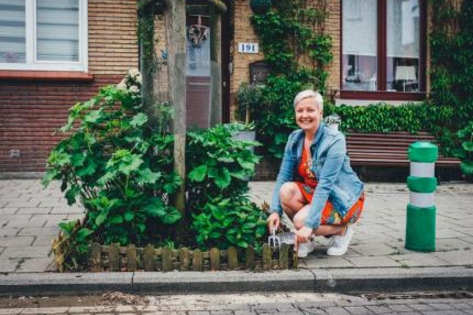 Hasselt zoekt adoptie-ouders voor openbaar groen