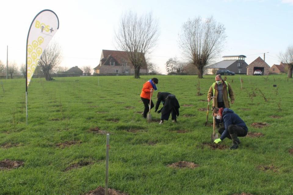 Provincie Oost-Vlaanderen compenseert vliegreizen met bos