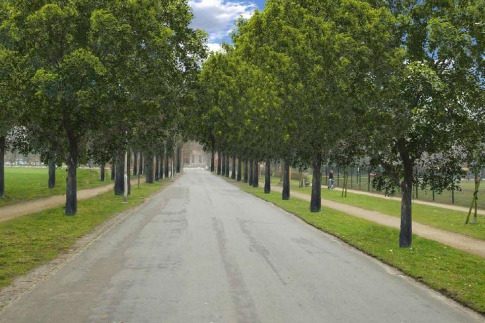 Brasschaat / Met meer bomen klaar voor de toekomst