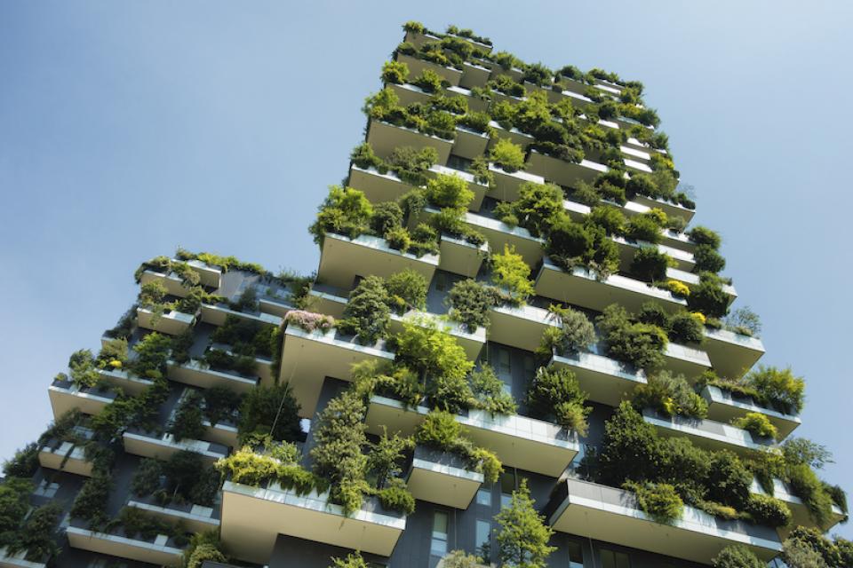 Webinar ‘Building (with) biodiversity’