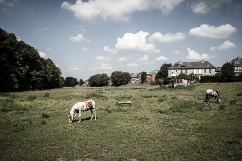 Onderzoeksteam gezocht voor studie naar het open ruimtenetwerk in en rond Brussel