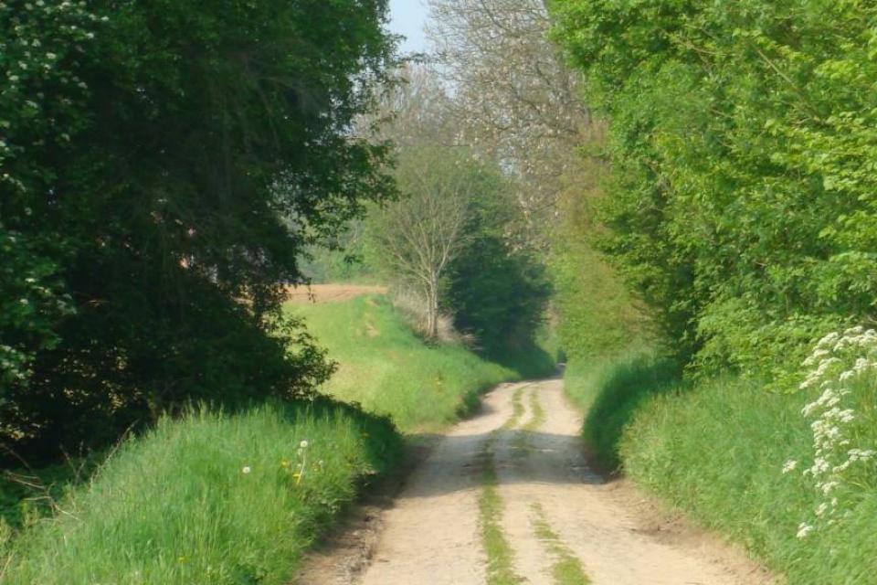 Butselbos in Vlaams-Brabant breidt met 57 ha uit