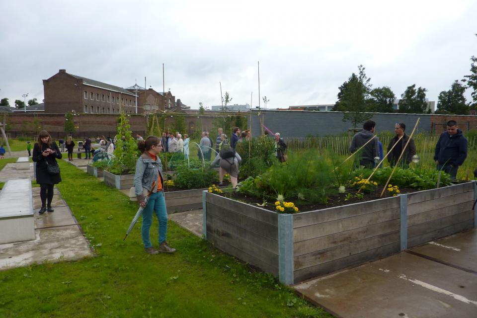 Matexi Award bekroont de beste groene buurtinitiatieven 