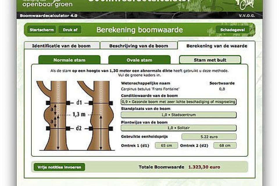 Waardebepaling van bomen: Nieuwe eenheidsprijs 2022 