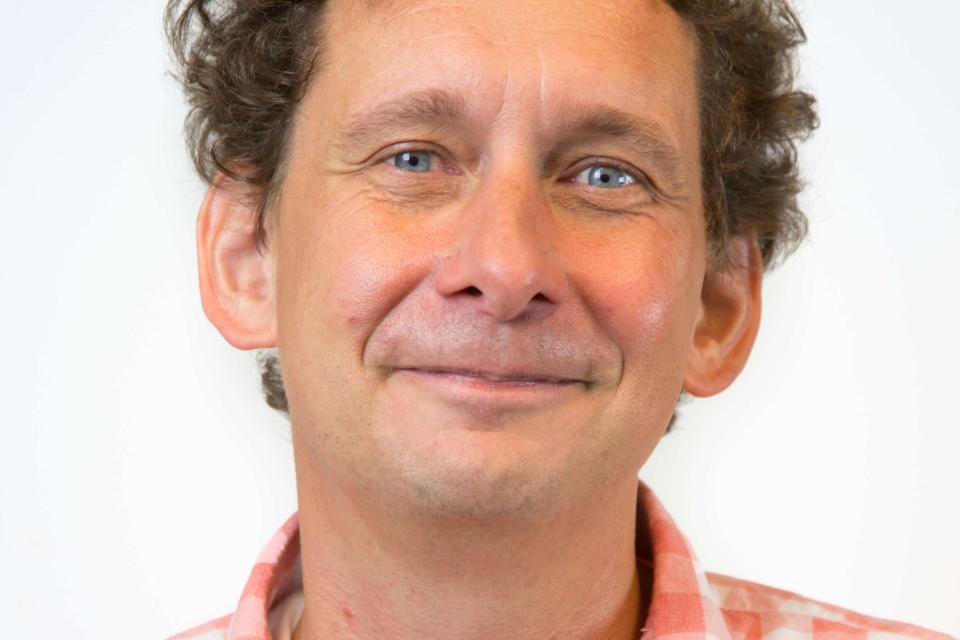 Waarom in steden meer groen noodzakelijk is