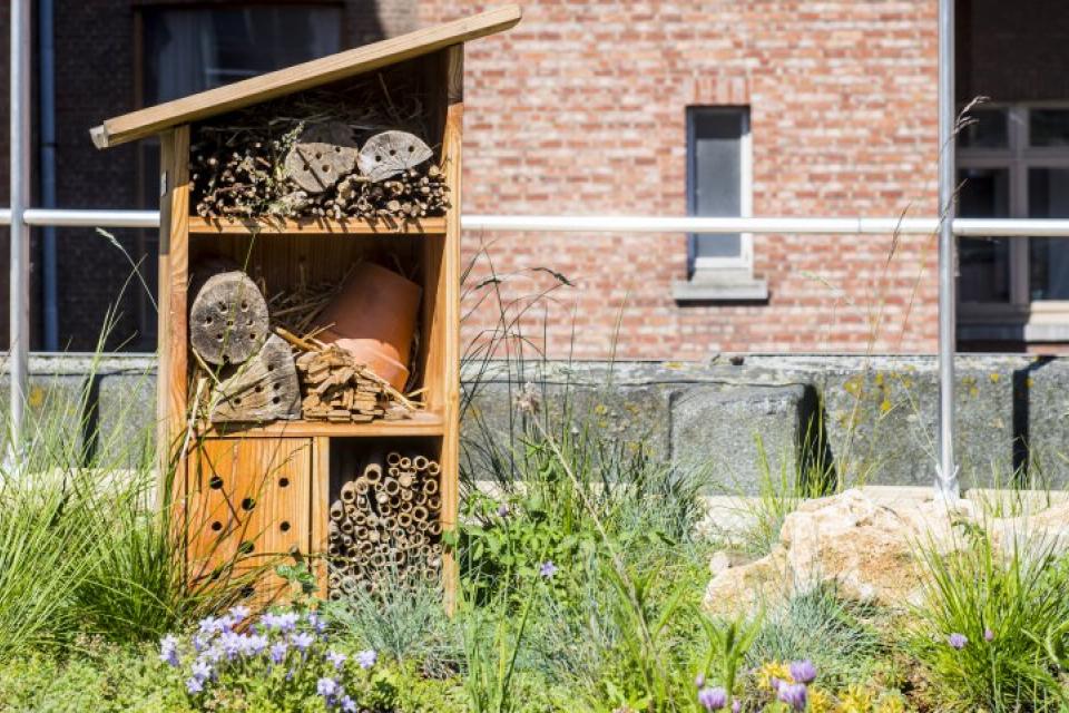 Antwerpen / 75.000 euro subsidie voor drie klimaatrobuuste daken