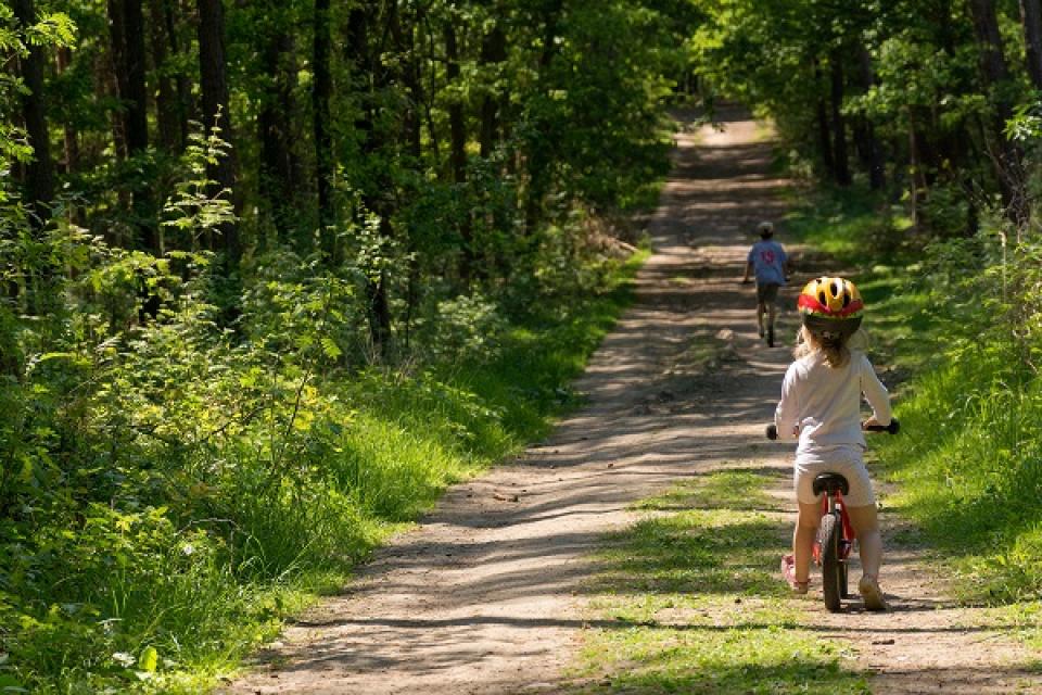 Meer groen: hogere intelligentie en minder gedragsproblemen