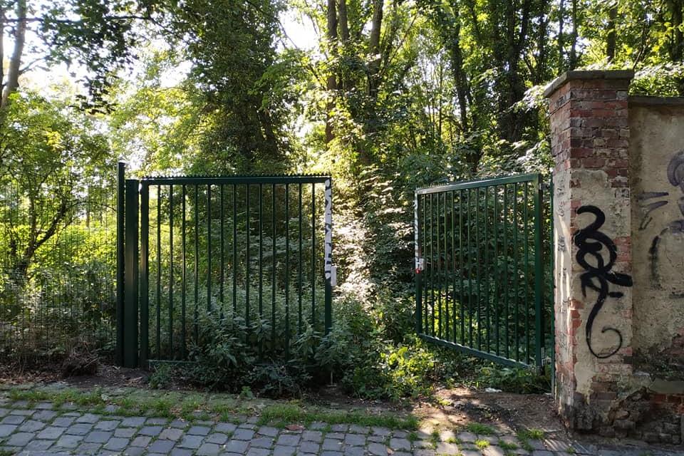 Europees project wil geïntegreerde visie op de boom in de stad ontwikkelen