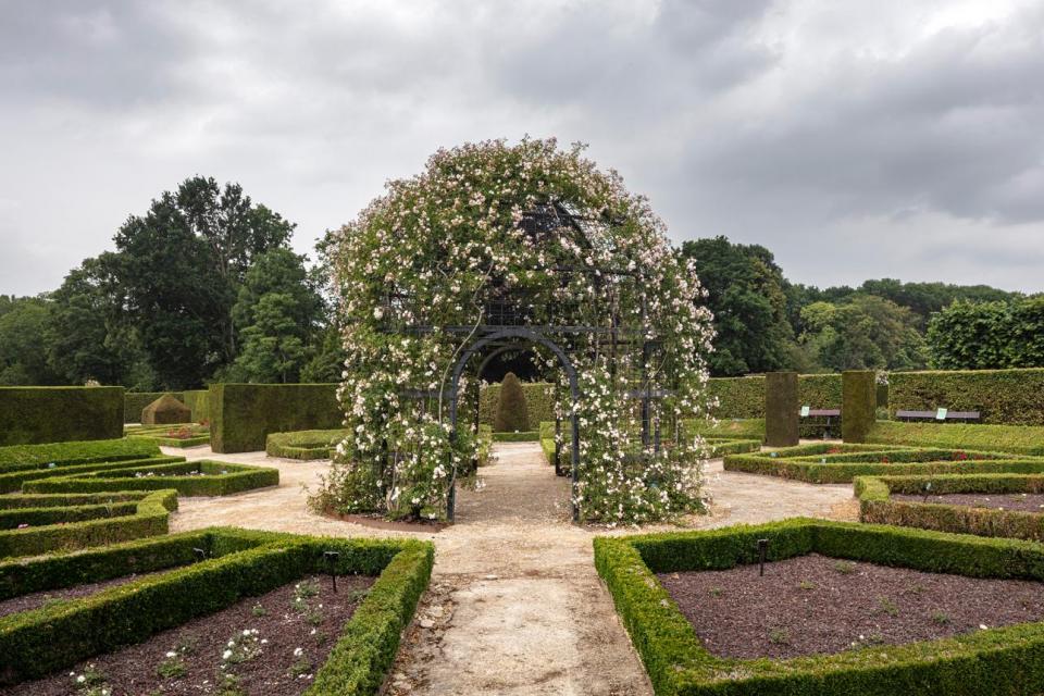 Ontwerpbureaus geselecteerd voor masterplan Rozentuin Coloma