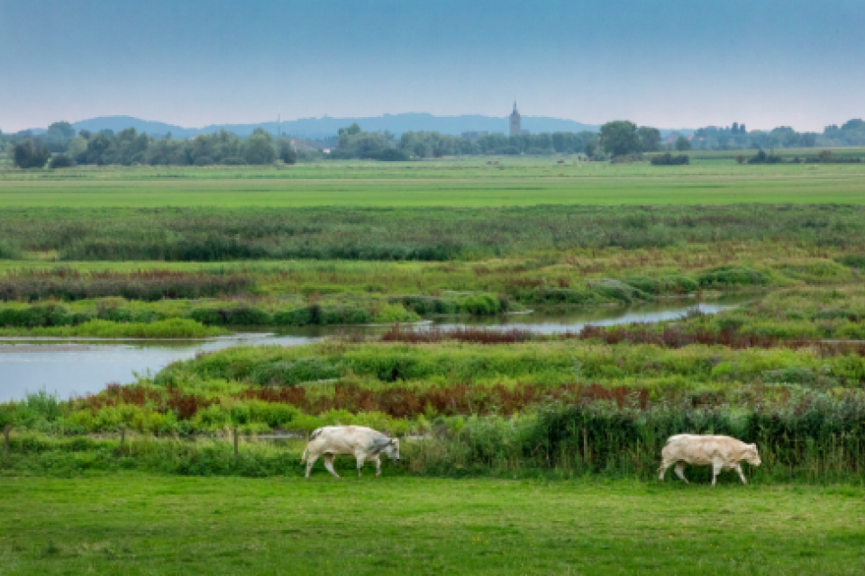 Water+Land+Schappen: 12,7 miljoen euro voor 43 gemeenten 