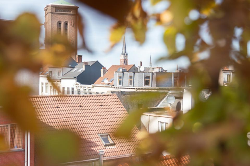 Antwerps daktuinenfestival DAKkan