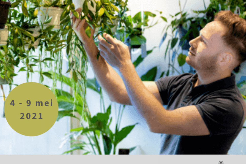 Floraliën Gent verrast dit jaar met De Groene Zesdaagse