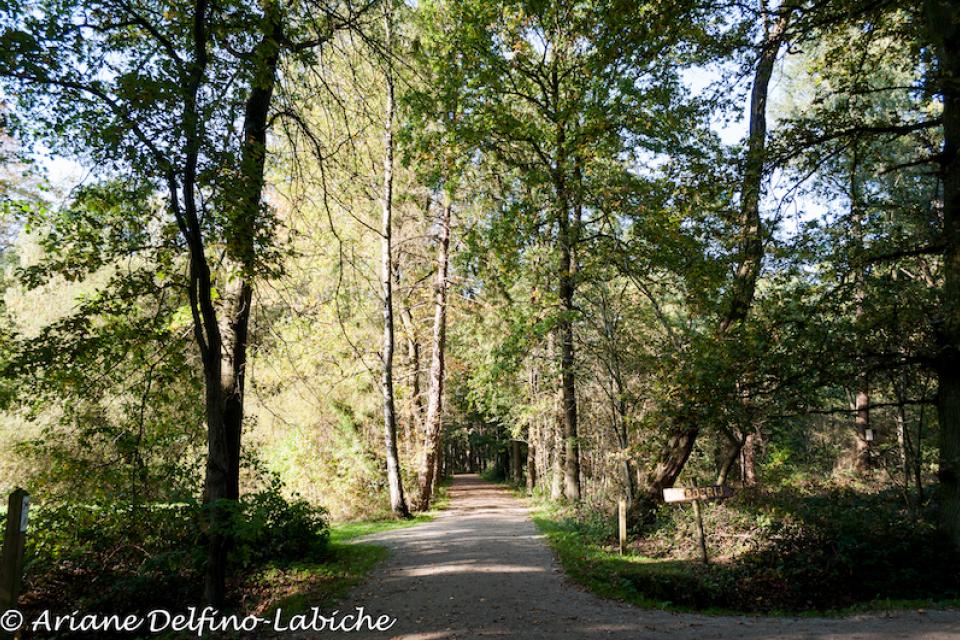 Green Flag Award voor zes parken in provincie Antwerpen