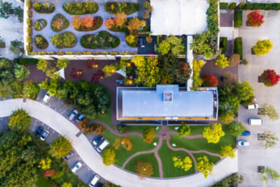 Europees burgerinitiatief ijvert voor meer groendaken