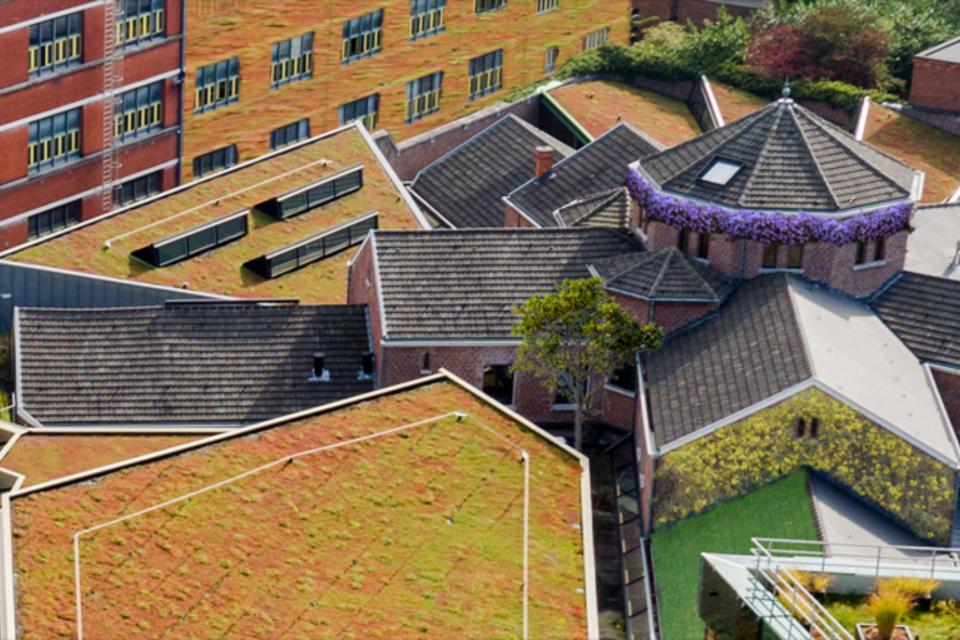 EcoCities: groenwanden en groendaken, bron voor onze toekomst 