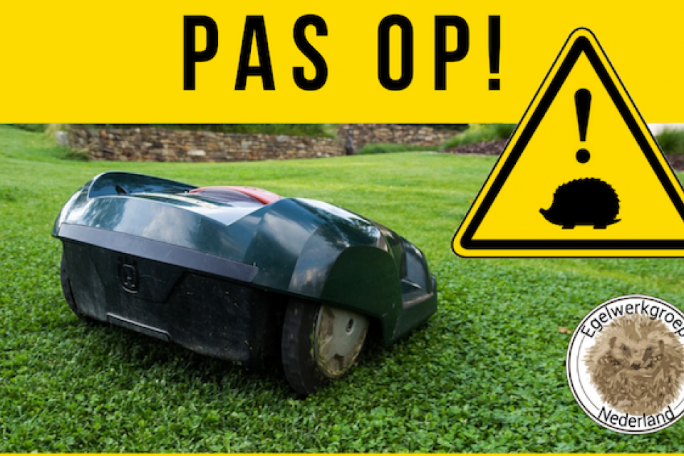 Robotmaaiers vormen risico voor egels