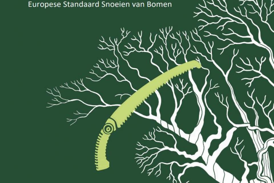 Europese standaard voor het snoeien van bomen