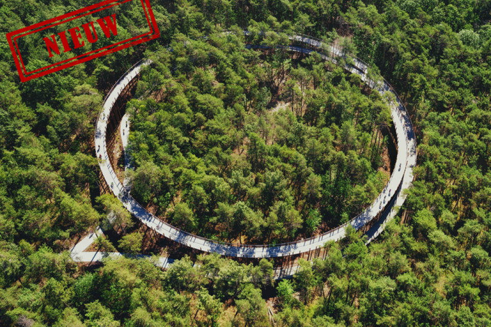 World Economic Forum looft twee Limburgse fietsprojecten 