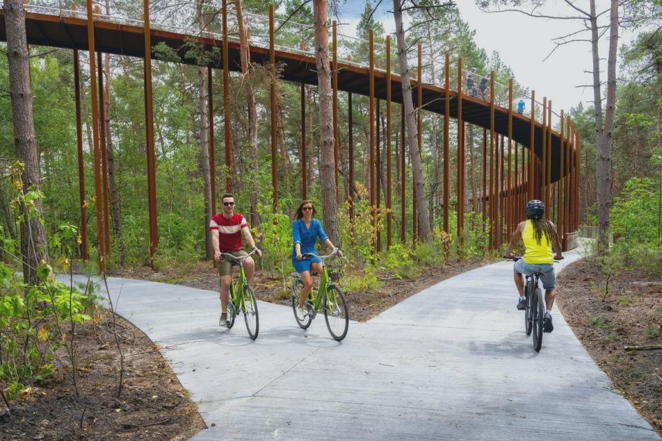 ‘Fietsen door de bomen’ wint Dezeen Award 2020